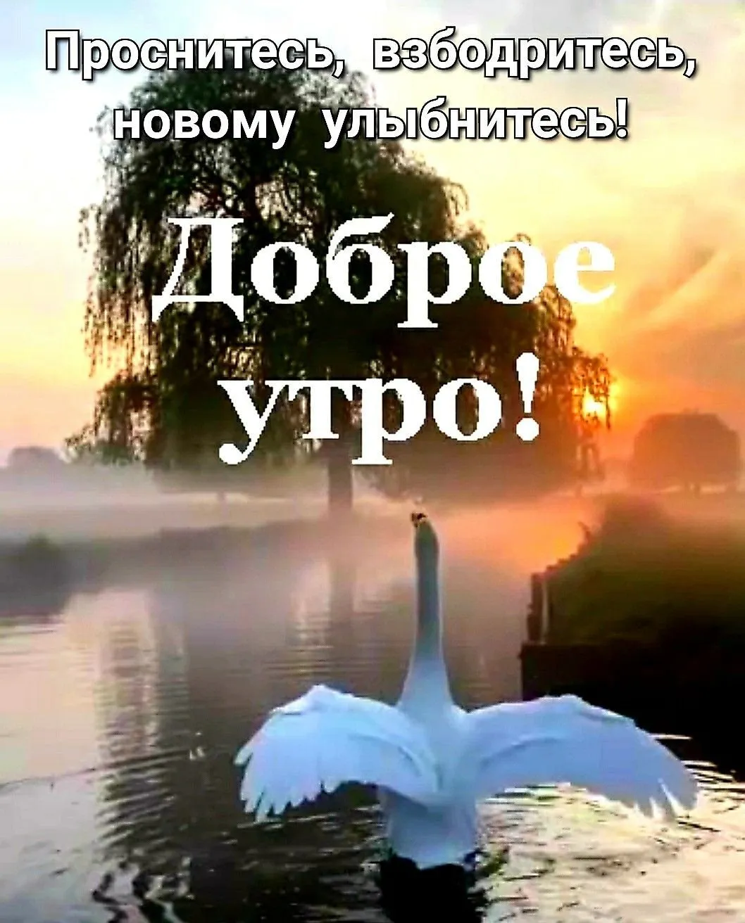 Доброго дня храни вас господь картинки с пожеланиями