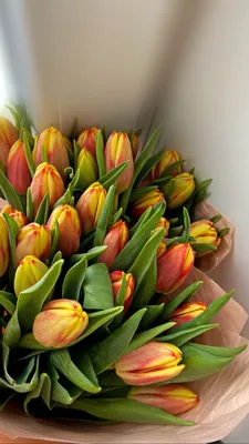 Тюльпаны | Tulips flowers, Boquette flowers, Wallpaper nature flowers картинки