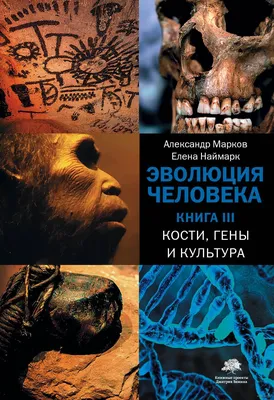 Эволюция человека. Книга III. Кости, гены и культура» Александр Марков,  Елена Наймарк - купить книгу «Эволюция человека. Книга III. Кости, гены и  культура» в Минске — Издательство АСТ на OZ.by картинки