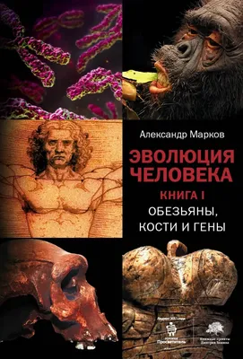 Купити: Эволюция человека, Книга 1, Обезьяны кости и гены, Олександр  Марков, Видавництво Corpus, доставка. картинки