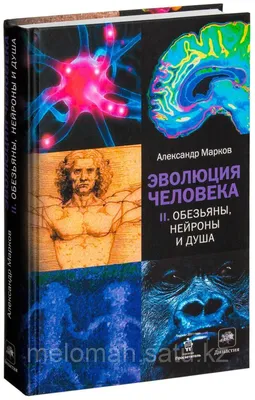 Марков А. В.: Эволюция человека. Кн. 2. Обезьяны, нейроны и душа: продажа,  цена в Алматы. Книги по естественным и техническим наукам от  \ картинки