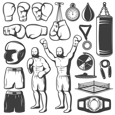 Boxing Изображения – скачать бесплатно на Freepik картинки