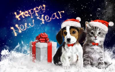 Обои животные, арт, котик, happy new year, собачка, новый год на рабочий  стол картинки