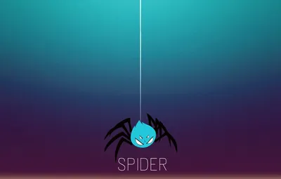 Обои насекомые, фон, обои, рабочий стол, паук, minimal, spider, заставка,  FULL-HD картинки на рабочий стол, раздел минимализм - скачать картинки