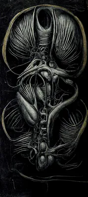 обои : Анатомия, H R Giger 1024x2304 - 小黑子树枝666 - 2160923 - красивые  картинки - WallHere картинки