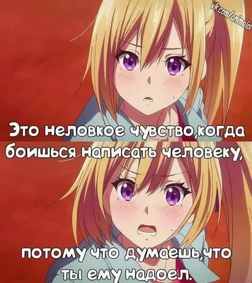 Пин от пользователя Voko на доске anime meme | Смешные мемы, Веселые мемы,  Мемы картинки