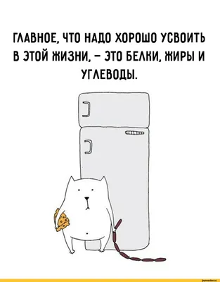 ГЛАВНОЕ, ЧТО НАДО ХОРОШО УСВОИТЬ В ЭТОЙ ЖИЗНИ, - ЭТО БЕЛНИ, ЖИРЫ И  УГЛЕВОДЫ. 2 у / кот :: картинка с текстом / смешные картинки и другие  приколы: комиксы, гиф анимация, видео, лучший интеллектуальный юмор. картинки