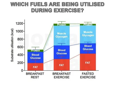 Завтрак перед тренировкой? Как лучше распределить белки/жиры/углеводы в  течении дня. | Livelong.pro | Дзен картинки