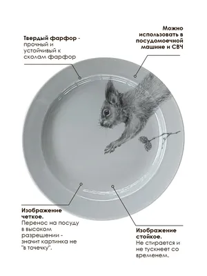 Тарелка Белки Жиры Углеводы картинки