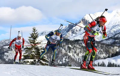 https://sport.pibig.info/3885-biatlon-mirovoj-chempionat.html картинки