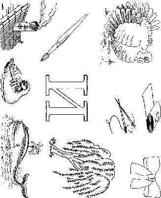Буква И с множеством рисунков картинки