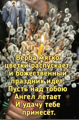 Вербное воскресенье 9 апреля: красивые картинки и душевные поздравления с  праздником - МК Новосибирск картинки