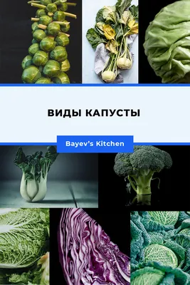 Капуста: Виды, Нарезка, Условия Хранения + 20 Идей Рецептов картинки