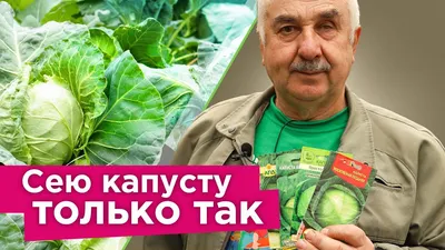 12 лучших видов капусты в 2023 году: названия, фото, советы по посадке и  уходу картинки