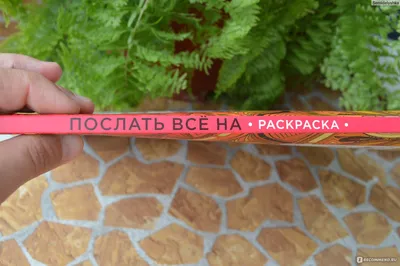 Послать все на! Расторгуева М. - «Когда всё достало, подарок 18+, но оценят  и дети.» | отзывы картинки