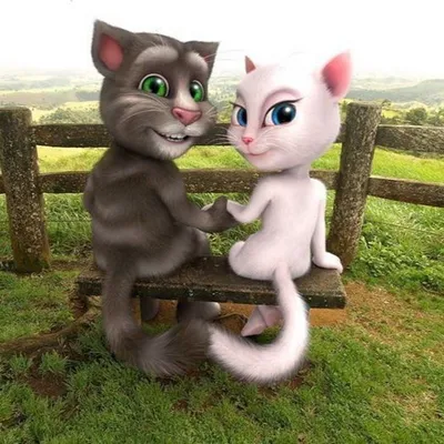 Картинки по запросу говорящий том и анжела | Talking tom, Cat talk, Tom love картинки