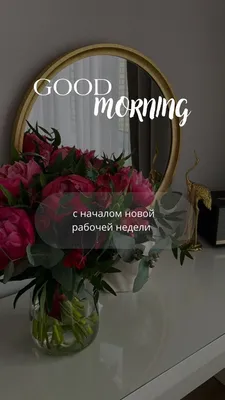 Good morning stories макет Инстаграм в 2022 г | Инстаграм, Доброе утро,  Картинки | Шрифты детские, Фотографии для мотивации, Дневные цитаты картинки