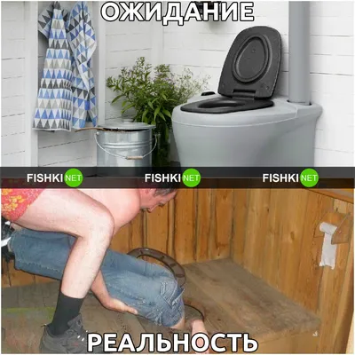 Дача: ожидание и реальность | Fishki.net картинки