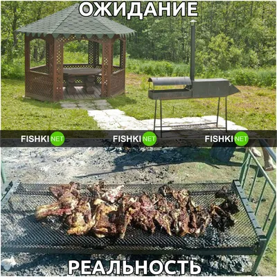 Дача: ожидание и реальность | Fishki.net картинки