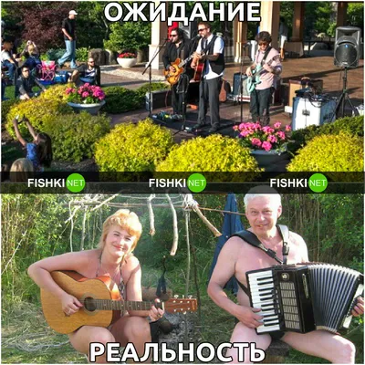 Дача: ожидание и реальность | Fishki.net картинки