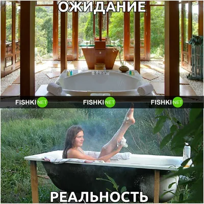 Дача: ожидание и реальность | Fishki.net картинки