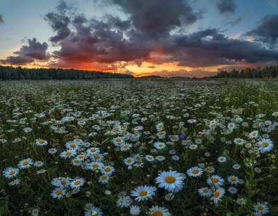 До свидания, Лето!. Фотограф Андрей Грачев картинки