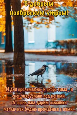 Пин от пользователя Светлана на доске Доброе утро | Открытки, Доброе утро,  Глупые лица картинки