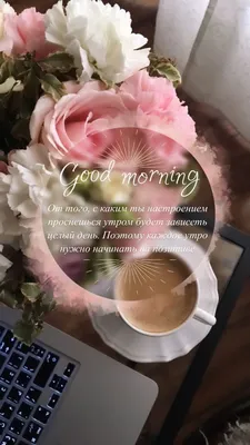 Доброе утро эстетика | Creative instagram stories, Instagram story ideas,  Floral quotes | Кофейные карточки, Цветочные магазины, Шрифты детские картинки