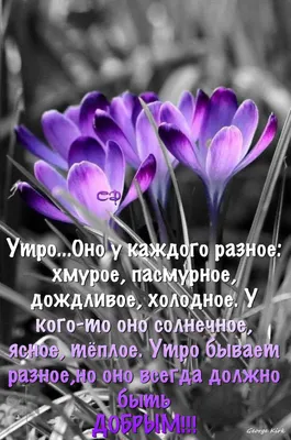 Идеи на тему «Доброе утро» (730) в 2023 г | доброе утро, открытки, утренние  цитаты картинки