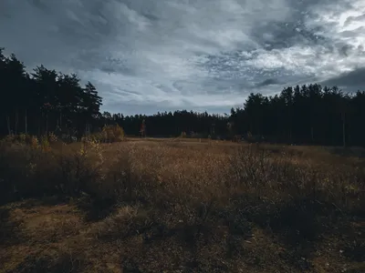 Доброе, пасмурное утро | Пикабу картинки