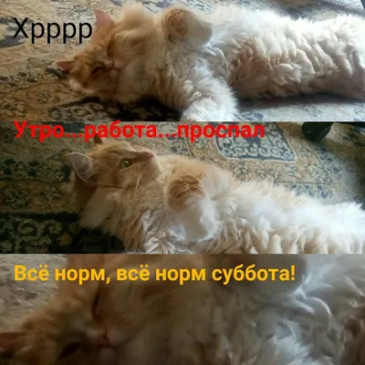 Картинки \ картинки