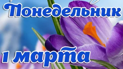 Видеооткрытка 1 Марта - Понедельник! С Добрым утром и началом Весны! картинки