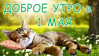 1 мая, Доброе утро, пятница ! С праздником!.Открытка с добрым  утром,Первомай. - YouTube картинки