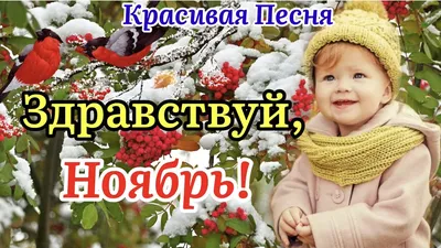 Здравствуй, Ноябрь!🍁❄️С Добрым Утром Ноября! Красивая Песня! 1  Ноября!Музыкальная Открытка Пожелание - YouTube картинки