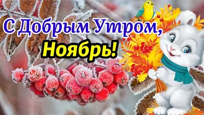 Здравствуй, Ноябрь!🍁❄️С Добрым Утром Ноября! Красивая Песня! 1  Ноября!Музыкальная Открытка Пожелание - YouTube картинки