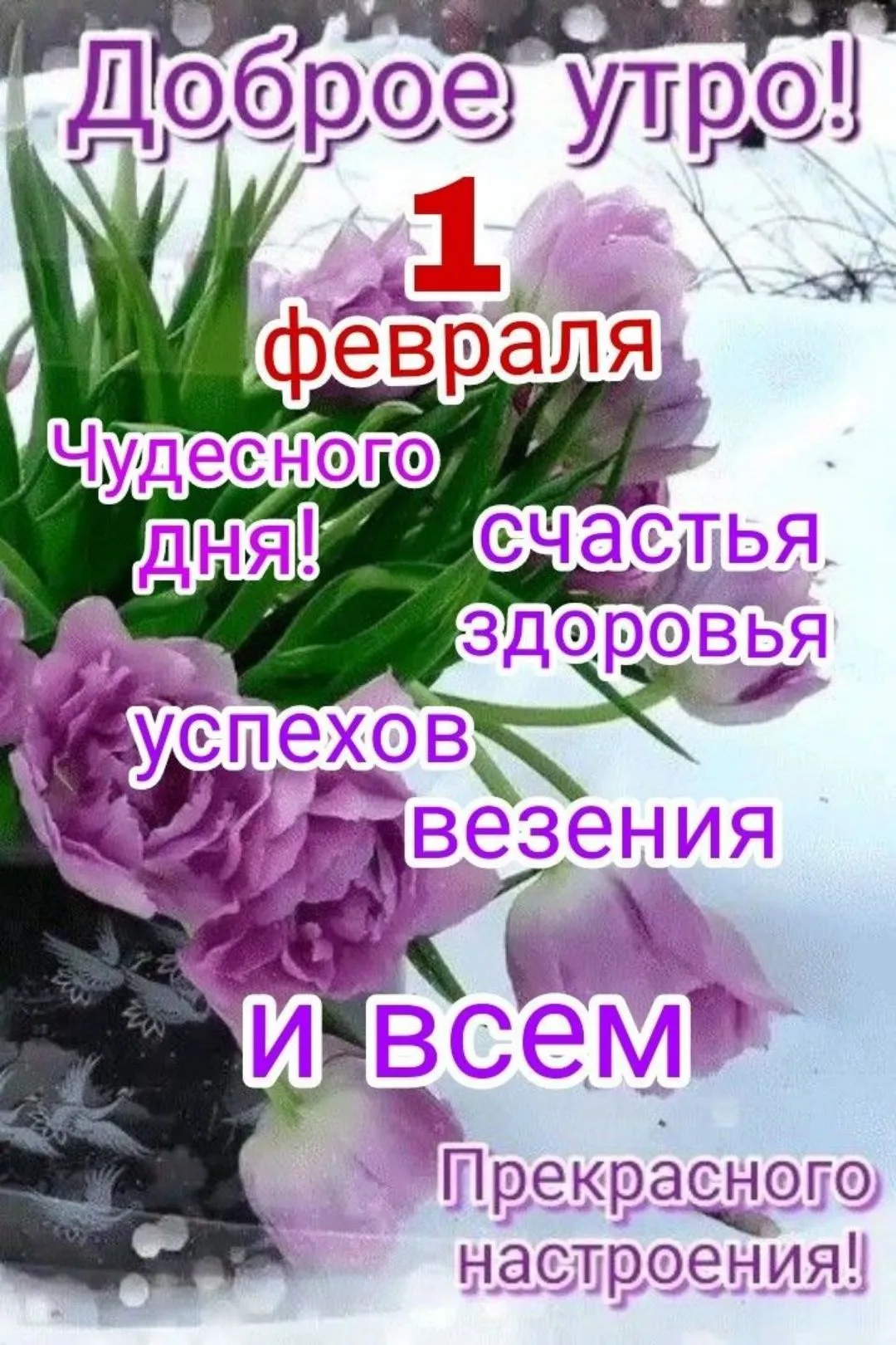 Утро февраля