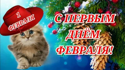 С Первым Днём Февраля! Совсем Чуть - Чуть Осталось До Весны! Очень Красивая  Музыкальная Открытка! - YouTube картинки