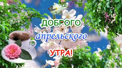 Привет Апрель! С Добрым Апрельским Утром🌞Музыкальная Открытка - YouTube картинки