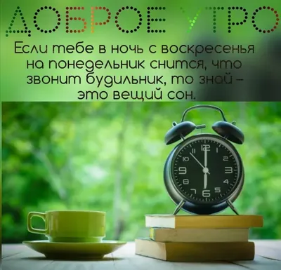 С добрым утром понедельника картинки прикольные и смешные картинки