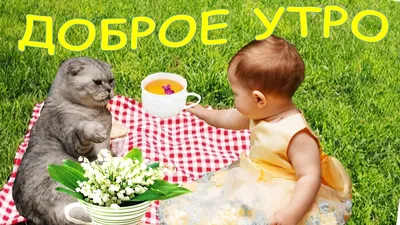 Вот и понедельник,привет ! Открытка с добрым утром ,май. - YouTube картинки