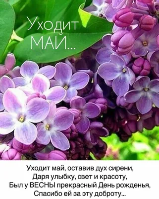 Пин от пользователя Натали Омельченко на доске Позитивные картинки | Весна,  Утренние цитаты, Открытки картинки