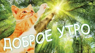 Вот и понедельник,привет ! Открытка с добрым утром ,май. - YouTube картинки