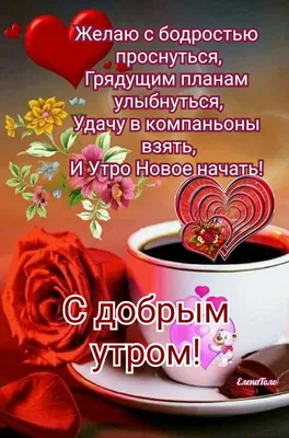 Идеи на тему «Доброе утро лето» (34) в 2023 г | доброе утро, открытки,  утренние цитаты картинки