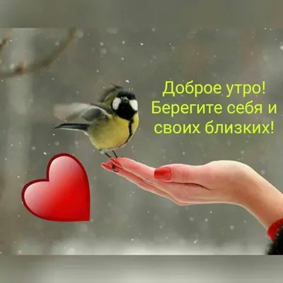 Пин от пользователя Gala k на доске Quotes that I love | Доброе утро,  Мотивационные картинки, Веселые картинки картинки