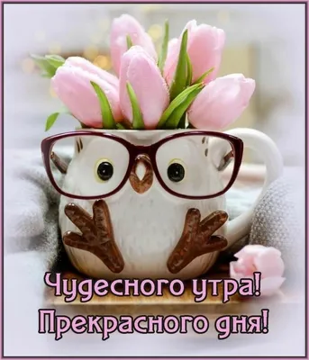 Идеи на тему «Доброе утро» (430) в 2023 г | доброе утро, открытки,  счастливые картинки картинки