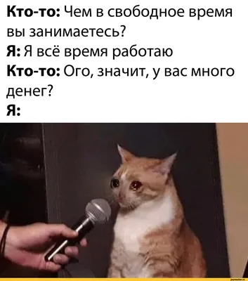 Кто-то: Чем в свободное время вы занимаетесь? Я: Я всё время работаю  Кто-то: Ого, значит, у вас мн / жизнь боль :: картинки с надписями /  смешные картинки и другие приколы: комиксы, картинки