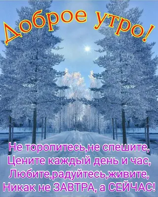 Пин от пользователя Лариса на доске доброе утро хорошего дня | Доброе утро,  Смешные поздравительные открытки, Позитивные цитаты картинки