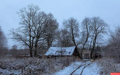 Фото: Завтра зима. Фотограф Владимир Брюнин. Пастораль - Фотосайт  Расфокус.ру картинки