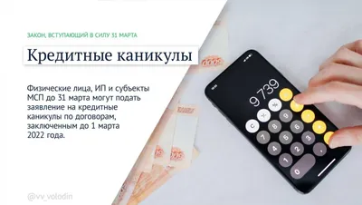 Защита животных, кредитные каникулы и другие нововведения марта -  IrkutskMedia картинки