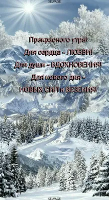 Пин от пользователя Анна Тарасова на доске Открытки | Зимние картинки,  Удивительная природа, Живописные пейзажи картинки